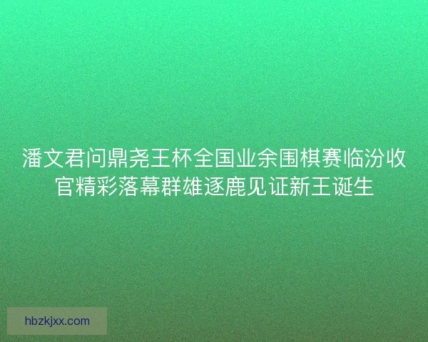 潘文君问鼎尧王杯全国业余围棋赛临汾收官精彩落幕群雄逐鹿见证新王诞生